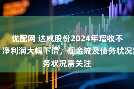 优配网 达威股份2024年增收不增利，净利润大幅下滑，现金流及债务状况需关注