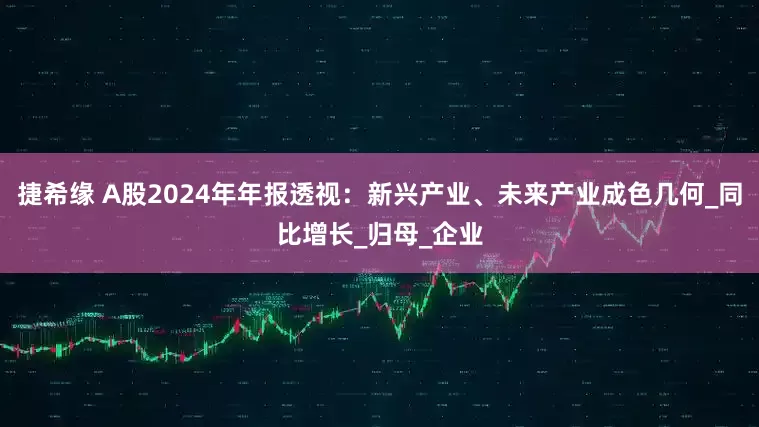 捷希缘 A股2024年年报透视：新兴产业、未来产业成色几何_同比增长_归母_企业
