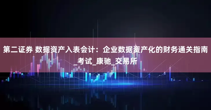 第二证券 数据资产入表会计：企业数据资产化的财务通关指南_考试_康驰_交易所