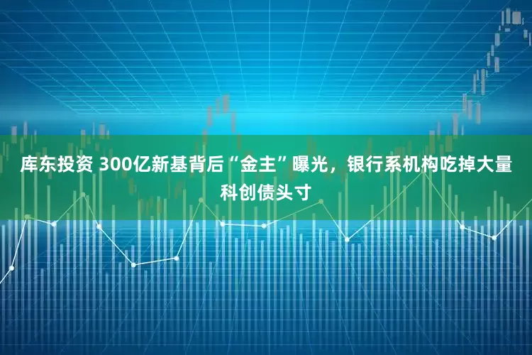 库东投资 300亿新基背后“金主”曝光，银行系机构吃掉大量科创债头寸