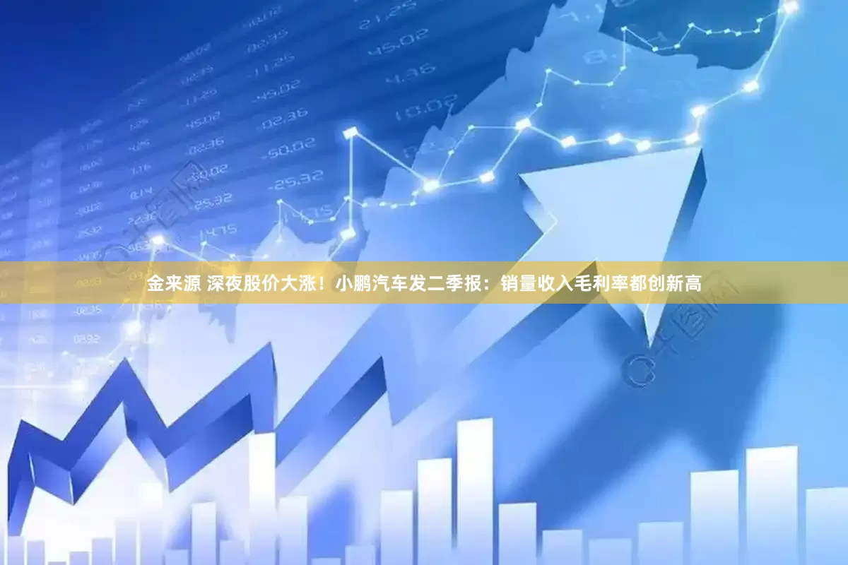 金来源 深夜股价大涨！小鹏汽车发二季报：销量收入毛利率都创新高